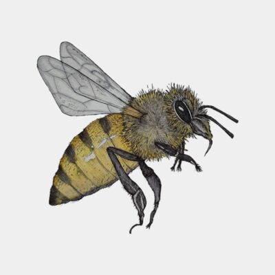 BackgroundEraser 20220124 220653856 Thumbnail