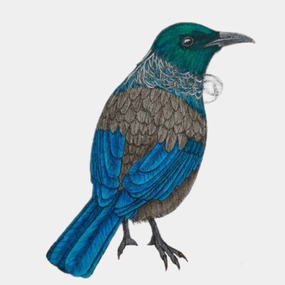 BackgroundEraser 20220902 212733072 Thumbnail