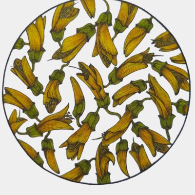 BackgroundEraser 20230220 154815665 Thumbnail