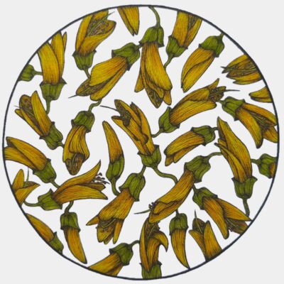 BackgroundEraser 20230220 154815665 Thumbnail